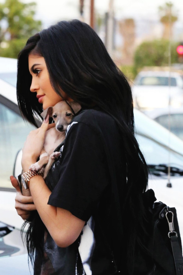 Kylie Jenner with her pet puppy