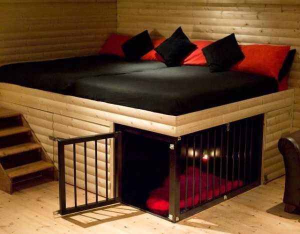 heated dog beds