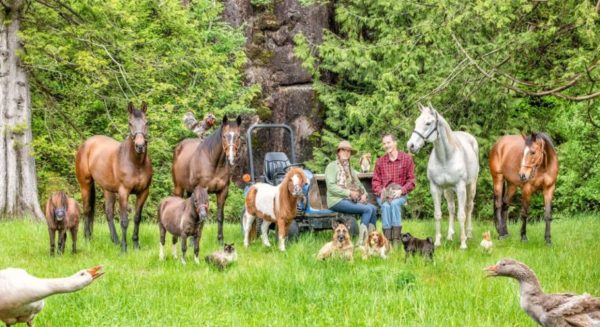 Friendship between human and animals