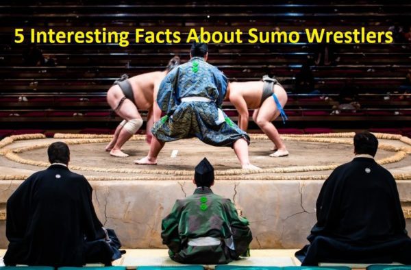 Interesting Facts About Sumo Wrestlers