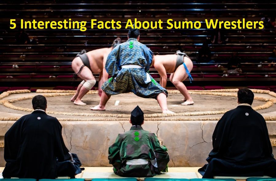 5 Interesting Facts About Sumo Wrestlers