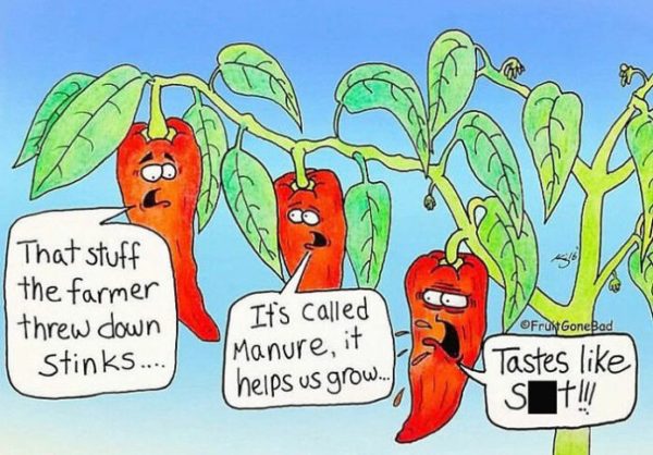 Naughty Fruit Comics from 'Fruit Gone Bad'