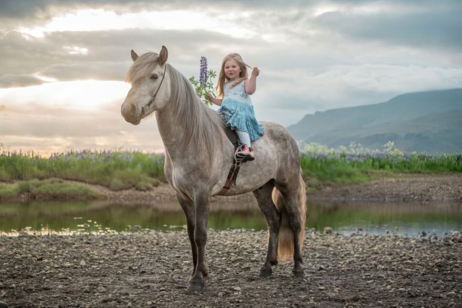 Pictures of Beautiful Horses in Stupendous Icelandic Landscapes by Petra Marita