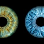 Photographer Mitchell Zeer Captures Human Irises As Galaxies