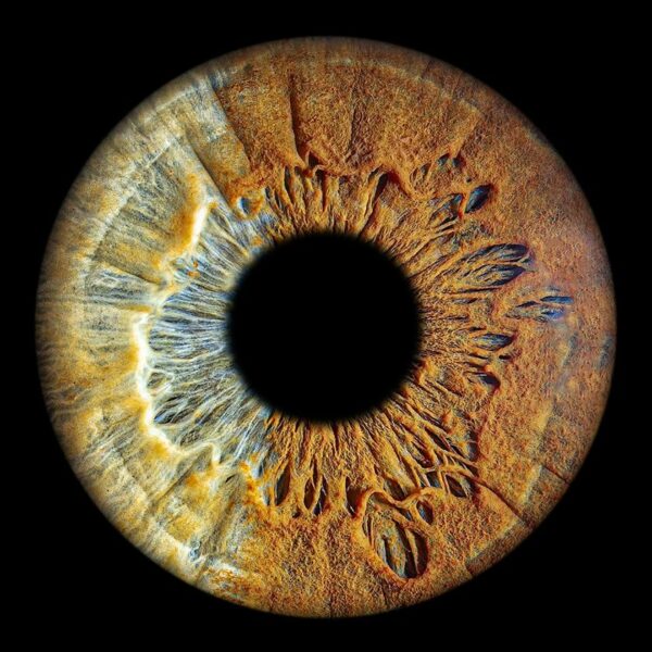 Photographer Mitchell Zeer Captures Human Irises As Galaxies