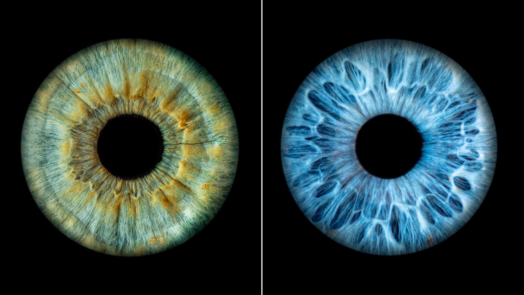 Photographer Mitchell Zeer Captures Human Irises As Galaxies