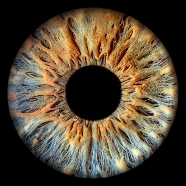 Photographer Mitchell Zeer Captures Human Irises As Galaxies