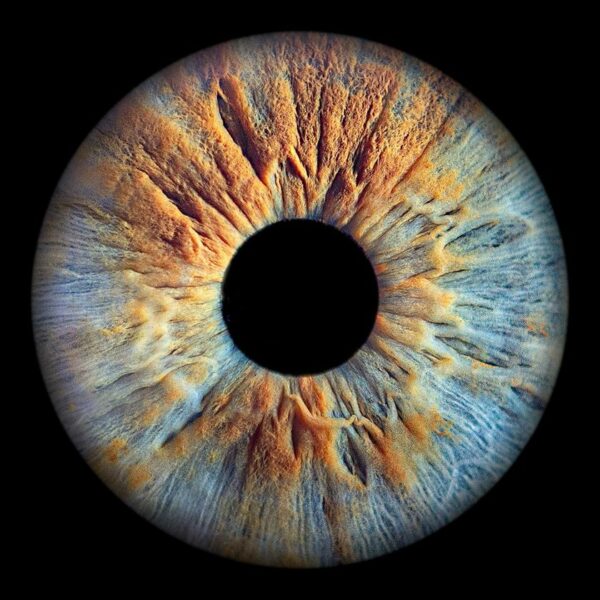 Photographer Mitchell Zeer Captures Human Irises As Galaxies