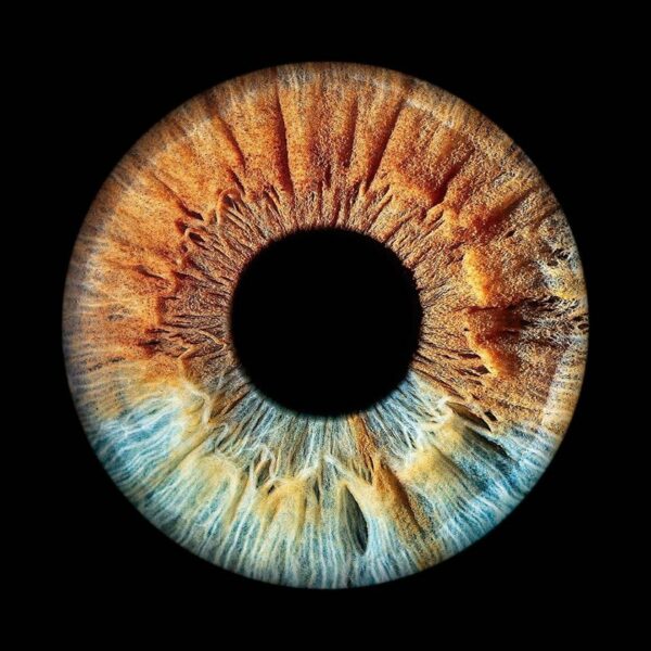 Photographer Mitchell Zeer Captures Human Irises As Galaxies