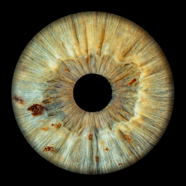 Photographer Mitchell Zeer Captures Human Irises As Galaxies