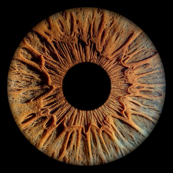 Photographer Mitchell Zeer Captures Human Irises As Galaxies